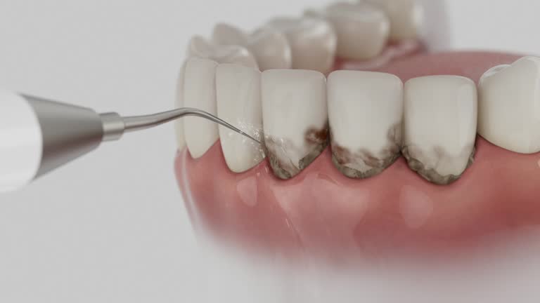 Reliable Dental contractor in Edgemont Park, MI by Dentist Open Now